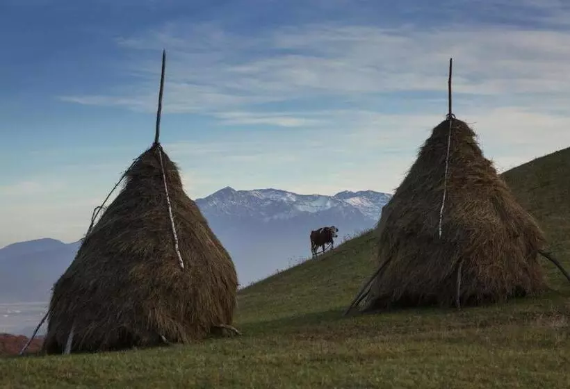 ペンション Bran Monte Crai Chalet