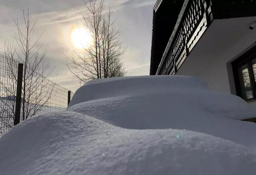 ペンション Bran Monte Crai Chalet