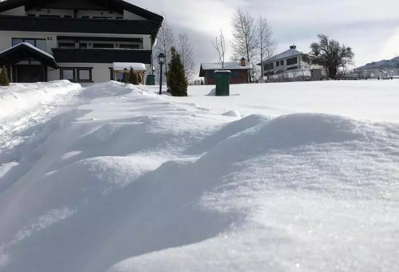 ペンション Bran Monte Crai Chalet