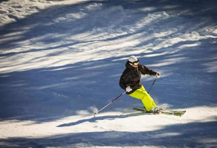 ペンション Bran Monte Crai Chalet