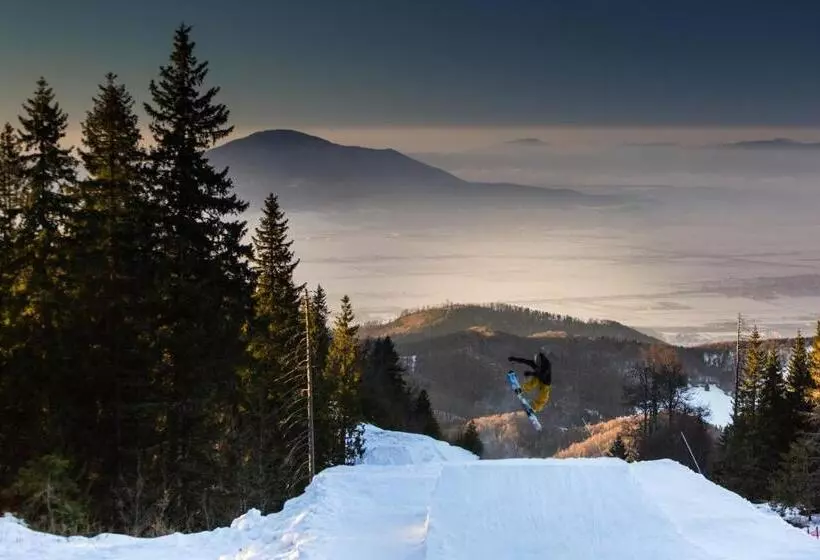 ペンション Bran Monte Crai Chalet