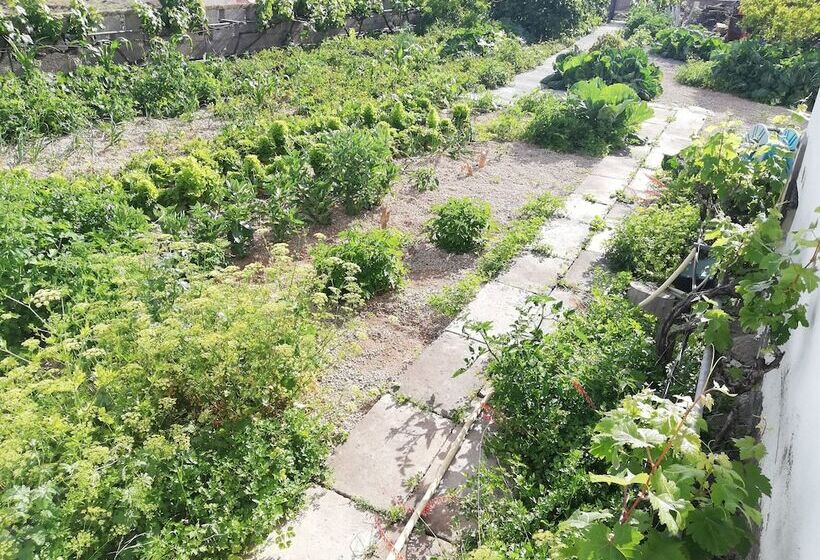 צימר Emblema Suites   Adults Only