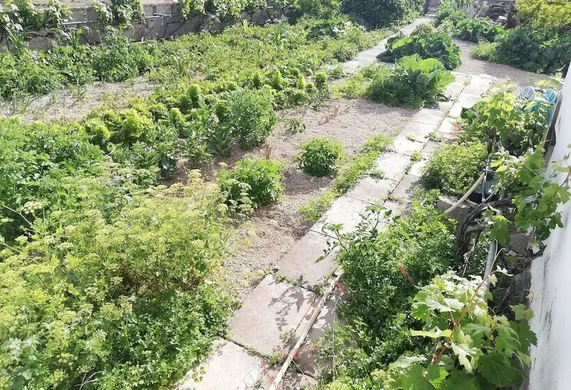 Aamiaismajoitus (B&B) Emblema Suites   Adults Only