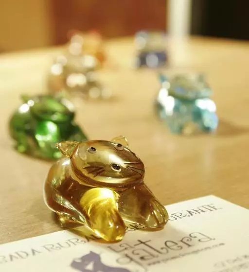 Retkeilymaja Posada La Gatera