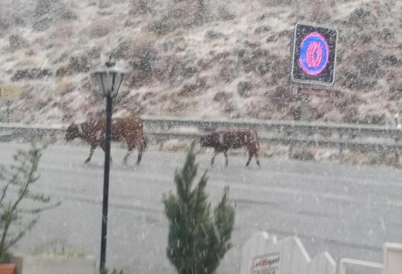 پانسیون Hostal El Desvío