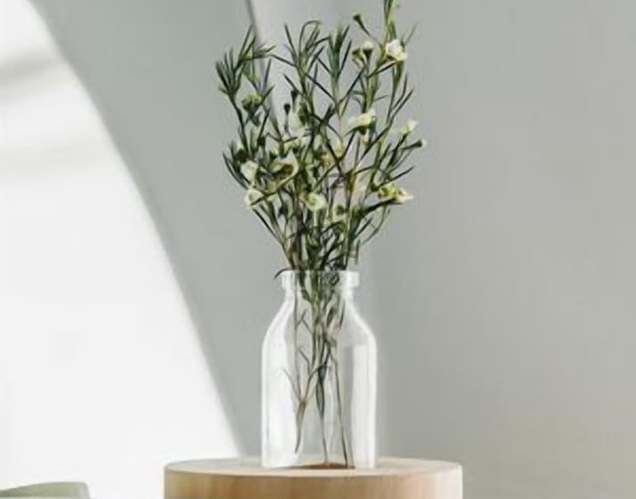 膳宿费 Guest House Ibaia Et Arramak