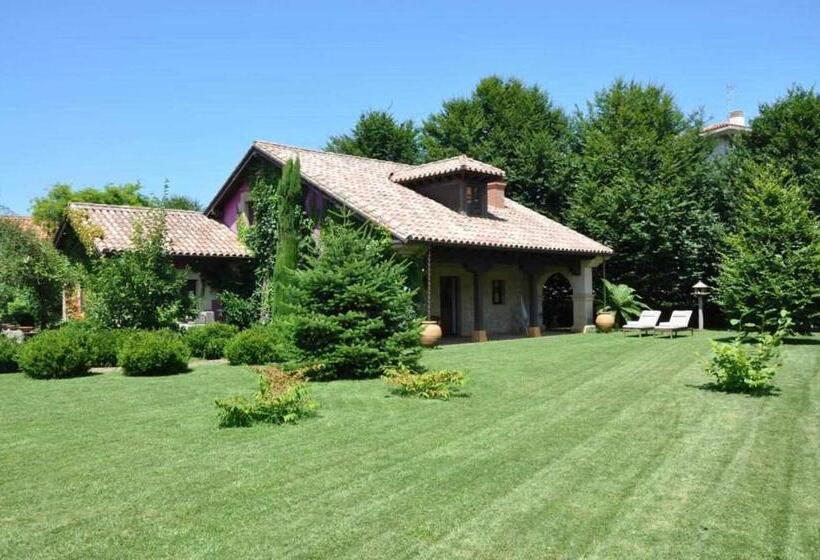 Apartamentos Arcadia