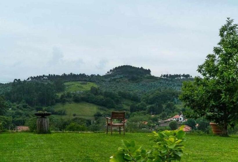 Apartamentos Arcadia