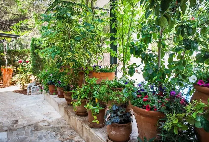 Apartamentos Cala Murada Minigolf