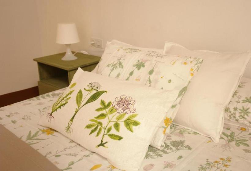 Пансион Hostal Parellades