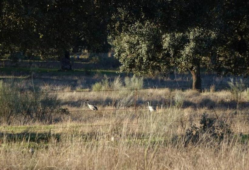 Пансион Hostal Via Del Caminante