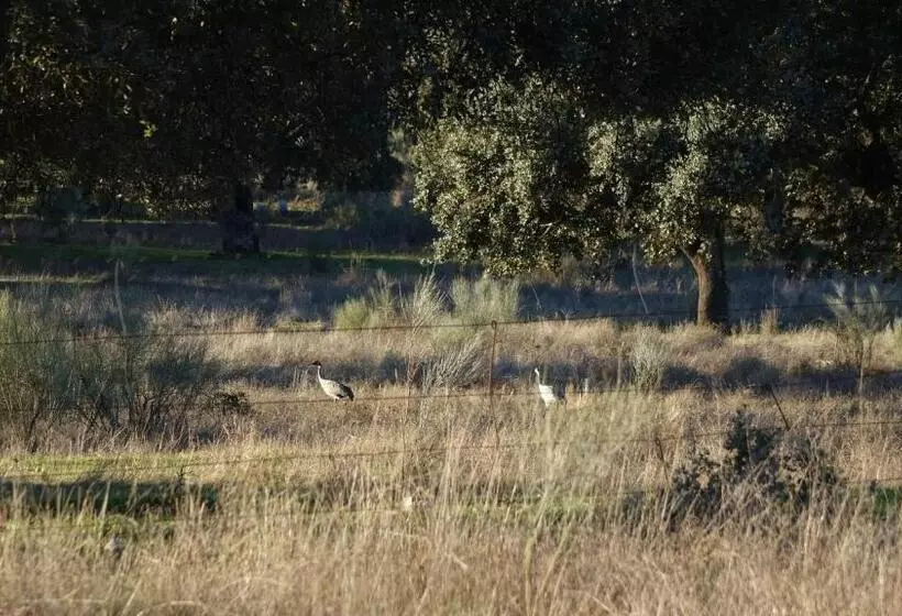 Majatalo Hostal Via Del Caminante