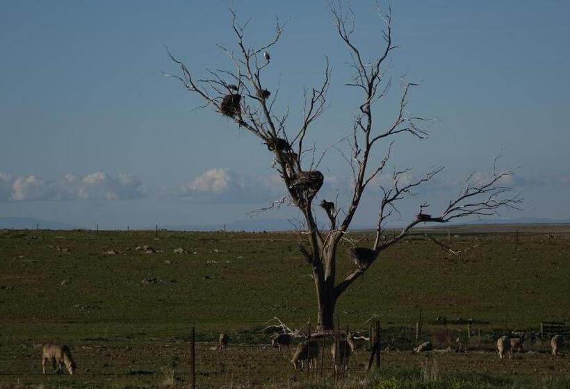 Пансион Hostal Via Del Caminante