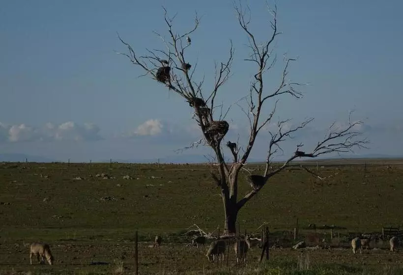 Majatalo Hostal Via Del Caminante