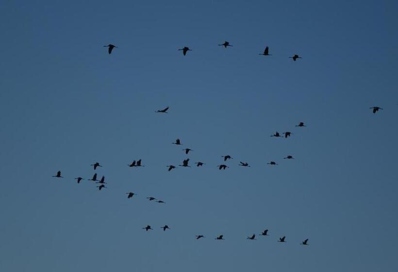 Пансион Hostal Via Del Caminante