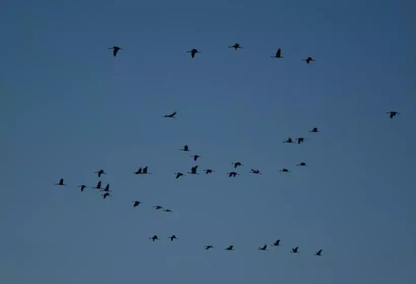 Majatalo Hostal Via Del Caminante