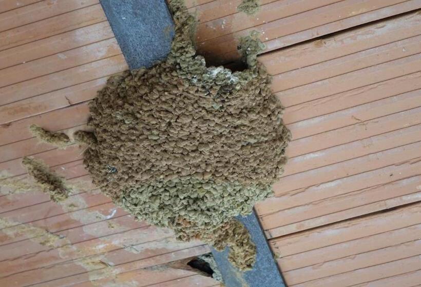 Пансион Hostal Via Del Caminante