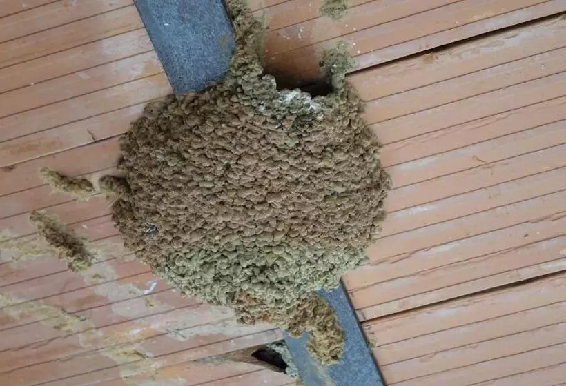 Majatalo Hostal Via Del Caminante