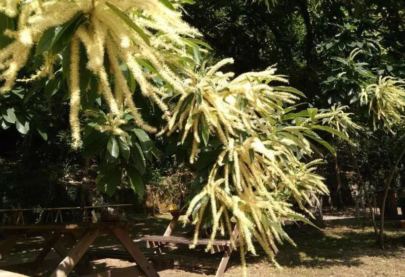 پانسیون A Fábrica Da Luz