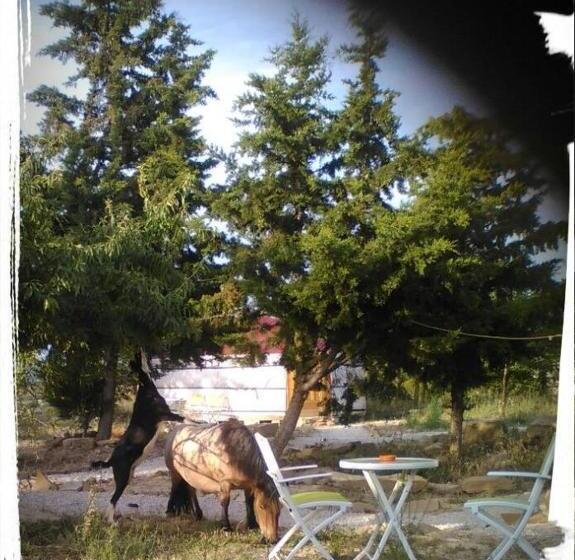 Пансион Campo De Reyes