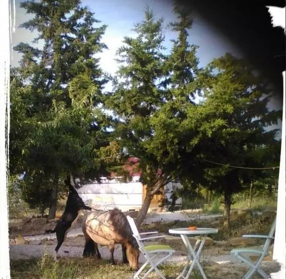 پانسیون Campo De Reyes