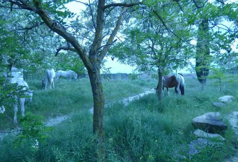 پانسیون Campo De Reyes
