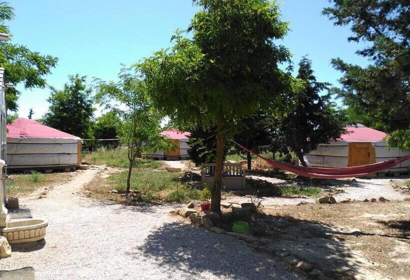 Пансион Campo De Reyes