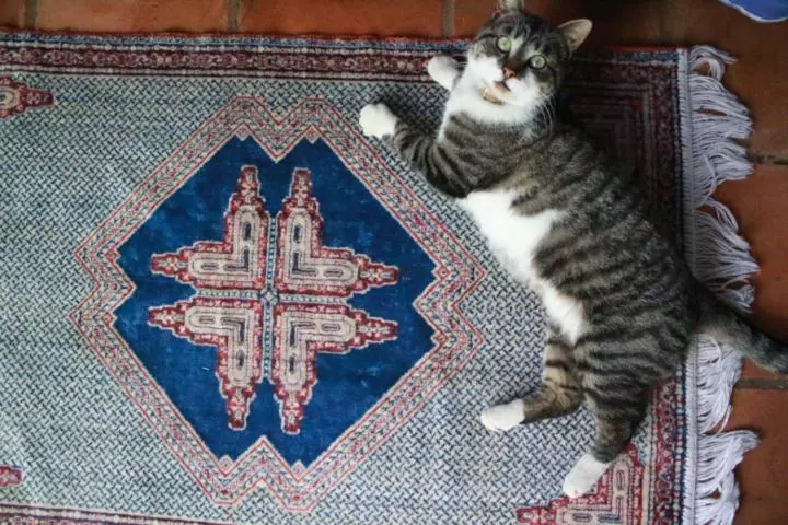 ペンション Posada Del Castaño