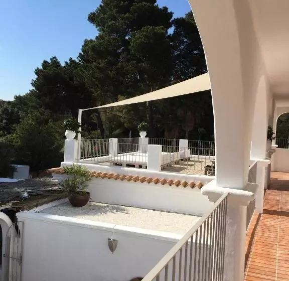 ácora Ibiza