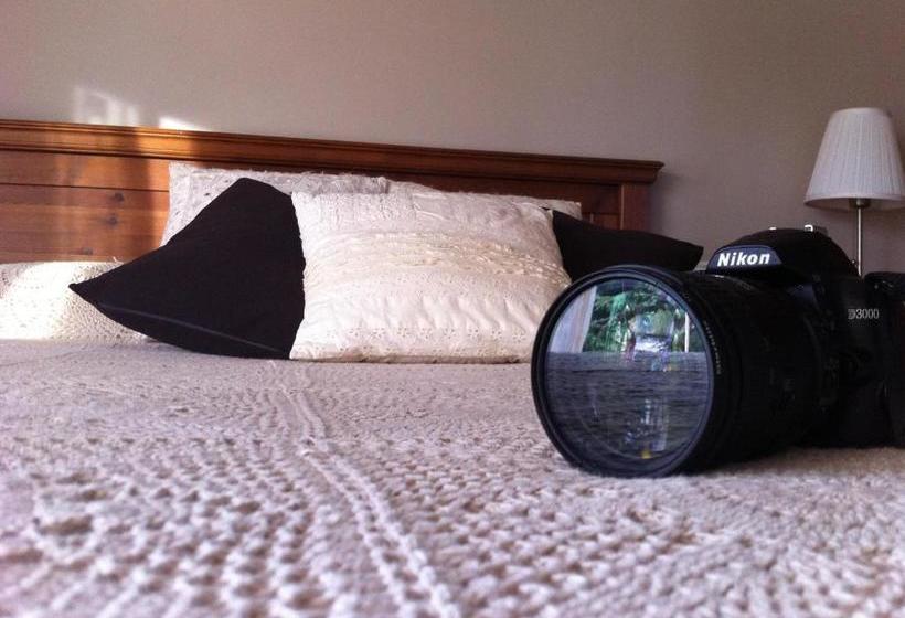 ホテル Mas Figueres