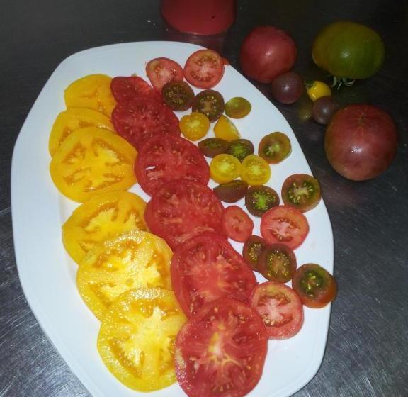 ホテル Mas Figueres