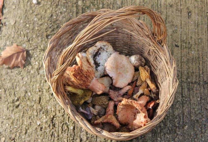 ホテル Mas Figueres