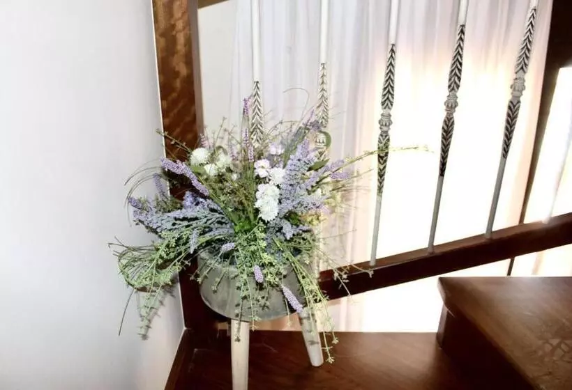 Pension Ca L´angels