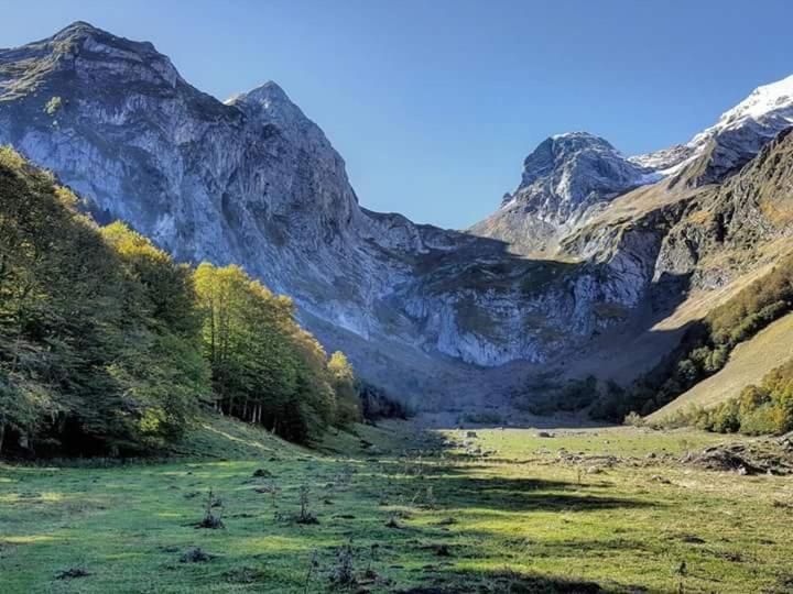 פנסיון Casa Es Neres