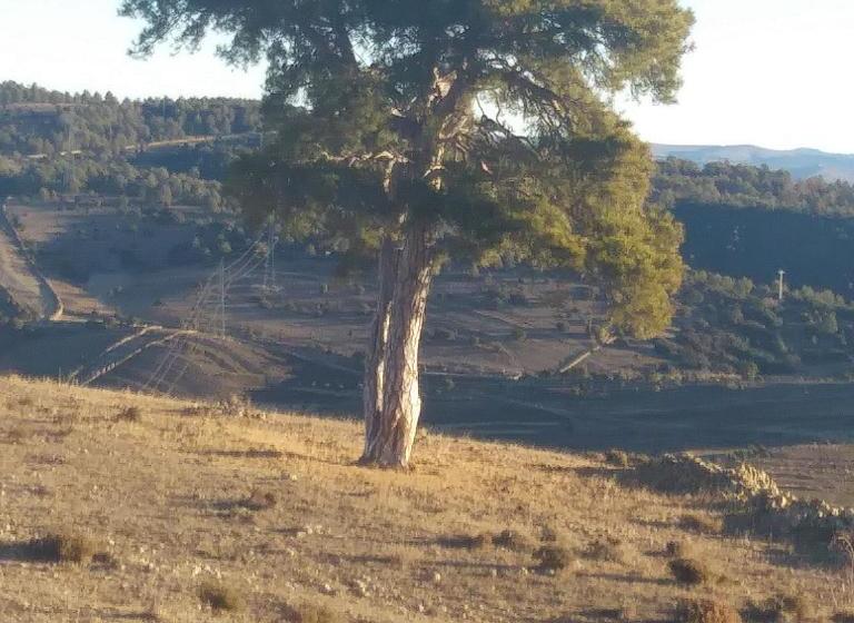 פנסיון Hostal Portell