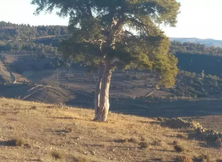 ペンション Hostal Portell