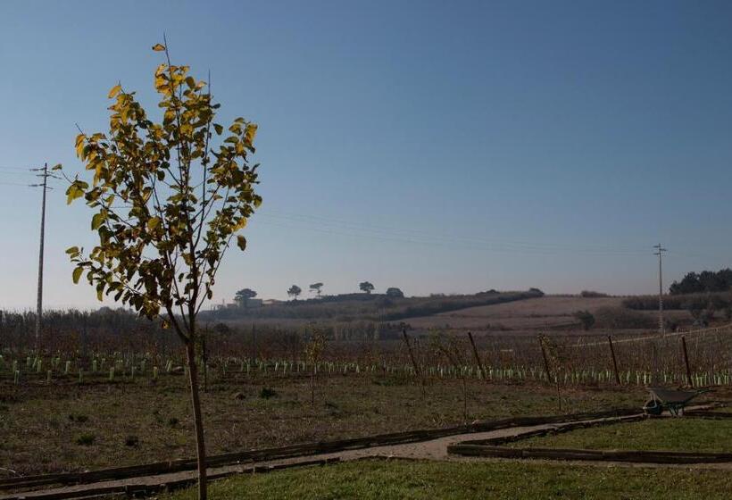 호텔 Entre Vinhas & Mar