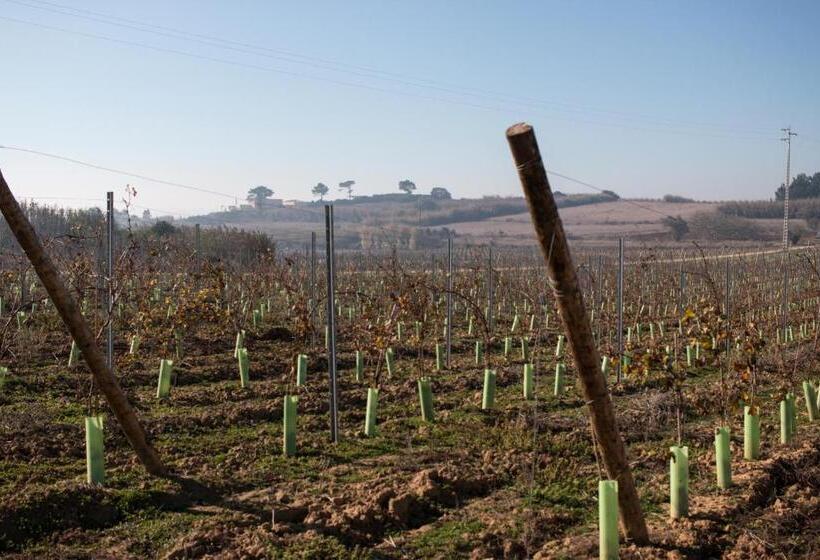 호텔 Entre Vinhas & Mar