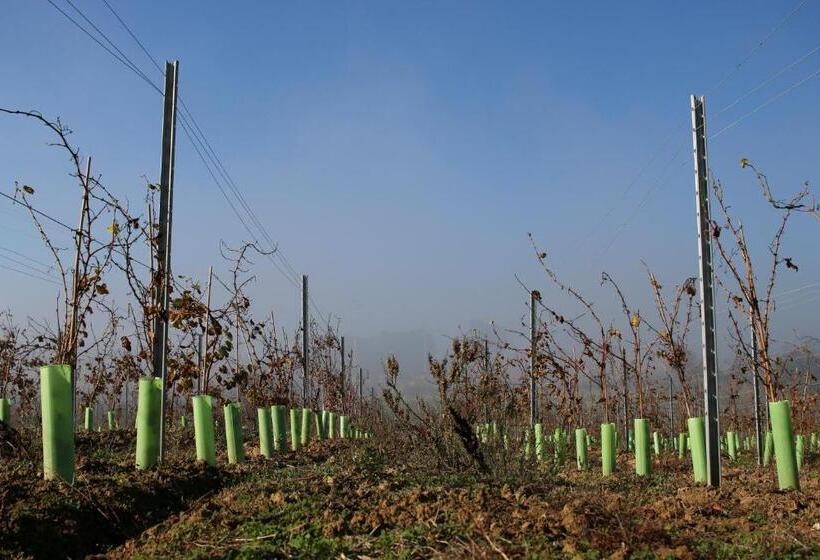 호텔 Entre Vinhas & Mar