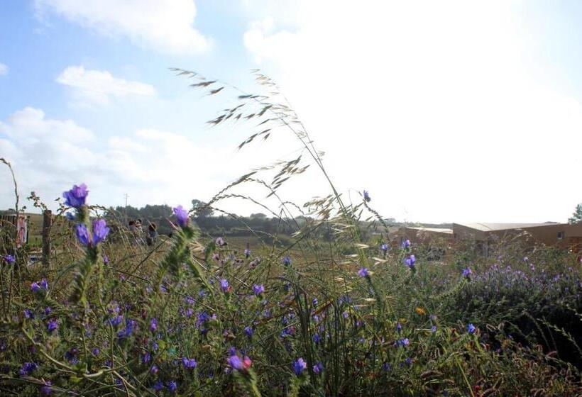 호텔 Entre Vinhas & Mar