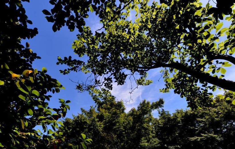 פנסיון Baiona Guesthouse