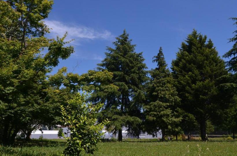 פנסיון Baiona Guesthouse