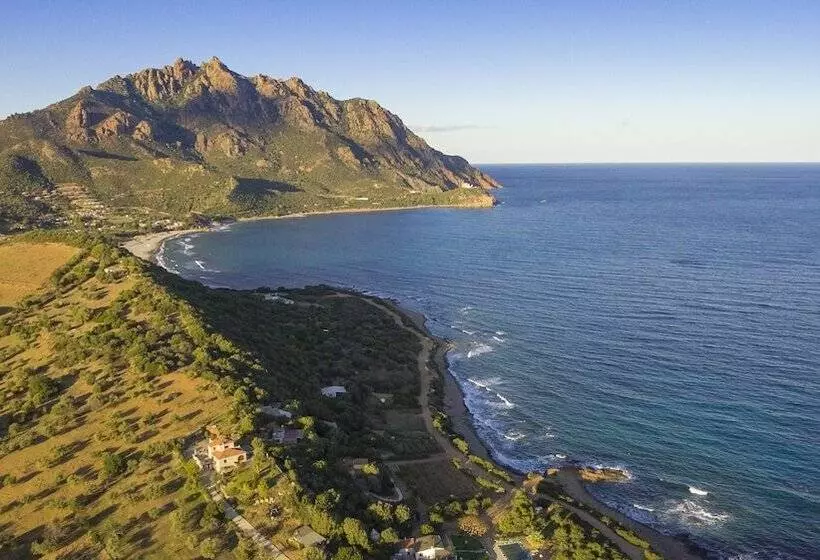 Babai Village Resort