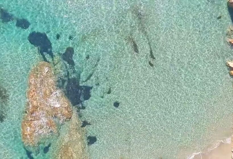 Babai Village Resort