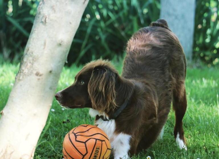 호텔 Agriturismo La Corte Del Lupo