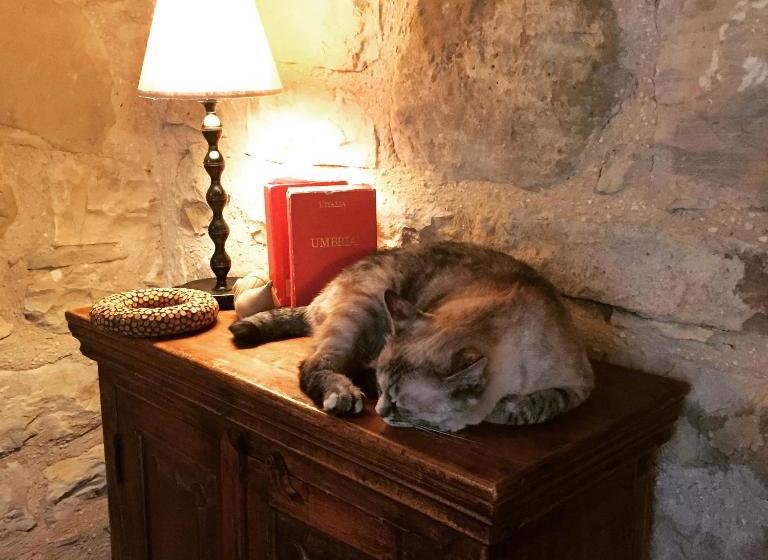 호텔 Agriturismo La Corte Del Lupo