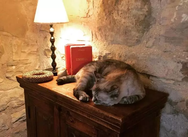 ホテル Agriturismo La Corte Del Lupo