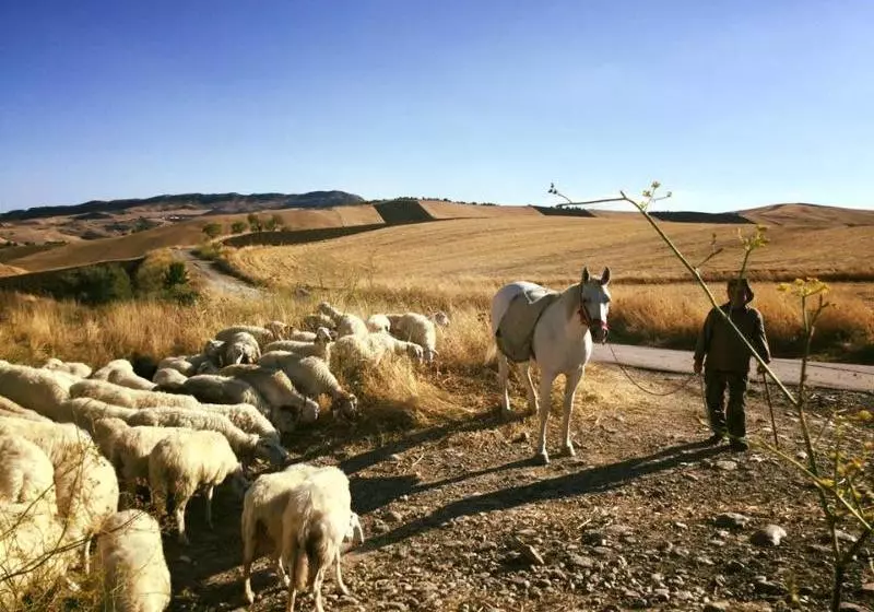 Masseria Sgadari
