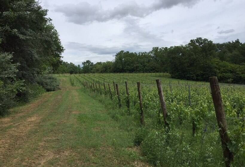 Отель Il Molinaccio Di Montepulciano