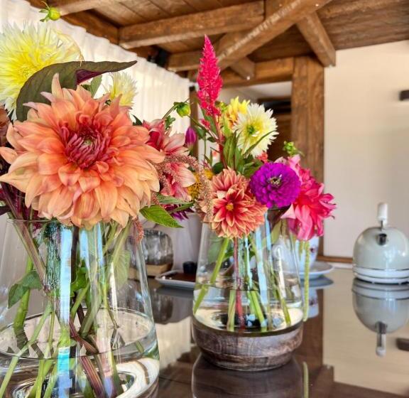 فندق Agrirelais Collelago